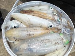 -鹏城人家海鲜酒家·23年老字号(较场尾店)