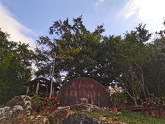 -七仙岭温泉国家森林公园