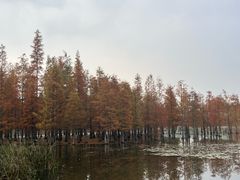 -白鹭湾湿地公园