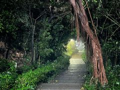 -广州市白云山风景名胜区