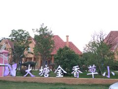 -大塘金香草谷