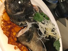 -食百绚全日制餐厅(成都棕榈泉费尔蒙酒店)