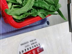 -源港渔村-中山脆肉鲩(博罗店)