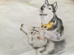 -Husky Go! 哈士奇体验馆·宠物咖啡厅狗咖