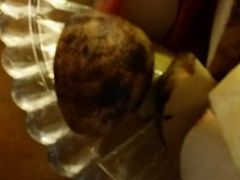 -庆会楼硫磺浴(西塔街店)