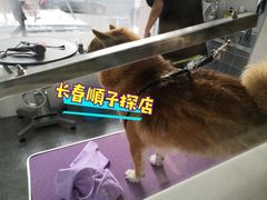 -宠颐生动物医院·心脏科·保险定点(锦阳分院)