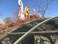 -南宫五洲植物乐园