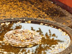 -金堂县云顶石城风景区