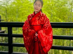 -大唐贡茶院