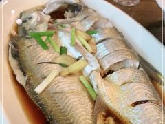 -老马家·舌尖上的西塘美食
