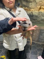 -Zoolung Zoolung动物主题公园(海信广场店)