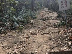 -采石矶景区