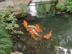 -老运河餐厅