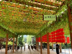 -常德桃花源景区