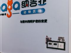 -纳吉亚猫专科动物诊疗中心(蒋宅口分院)