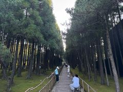 -玉苍山国家森林公园