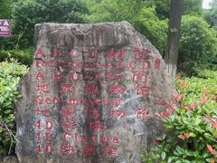 -金钉子远古世界景区