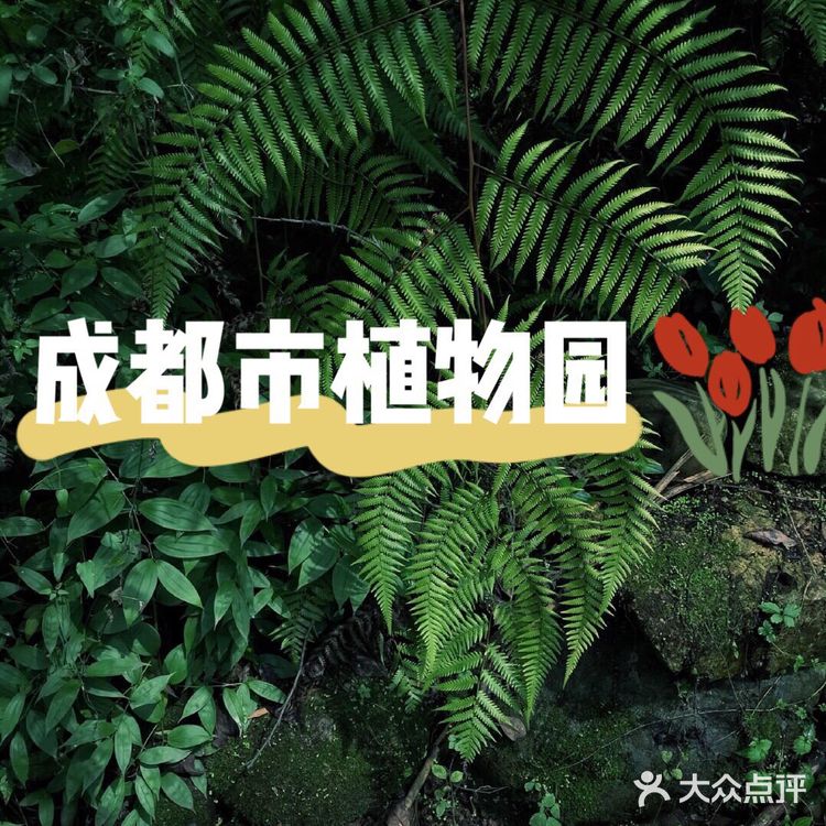 成都攻略 | 网红植物打卡地-成都市植物园🌵