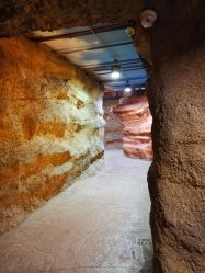 -酷嗒动物文化乐园(cutezoo西溪乐天城店)