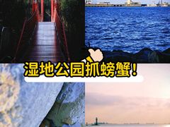 -上海吴淞炮台湾国家湿地公园