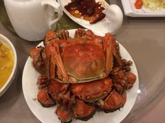 清蒸大闸蟹-王宝和酒家(黄浦店)
