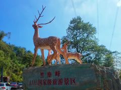 -长沙黑麋峰国家森林公园