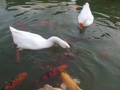 -祝家花園(伯渎港店)