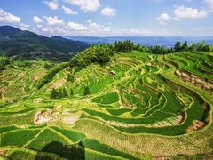 -紫鹊界梯田景区