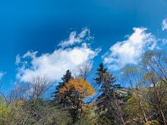 -叠溪松坪沟景区