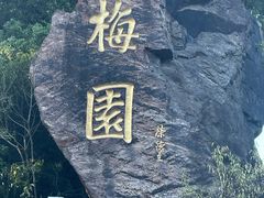 -无锡梅园公园