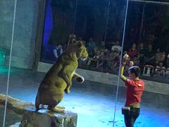 -清迈夜间动物园