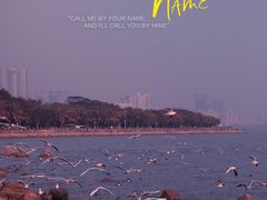 -深圳湾公园(南山区)