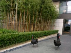 -行者书屋大堂吧 ·下午茶(南京圣和府邸酒店)