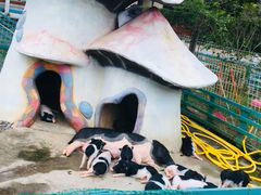 -灵玲国际马戏城
