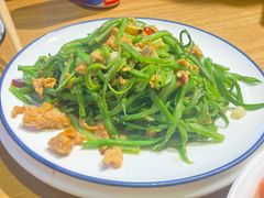 -1937青岛老味道·海肠捞饭·青岛菜(大鲍岛栈桥店)