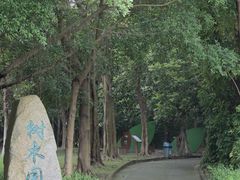 -广东茂名森林公园