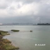震撼  感怀