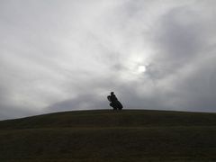 -春花秋色城市公园