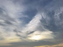 -漕湖湿地公园