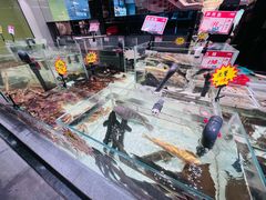 -万龙洲海鲜(大兴绿地缤纷城店)