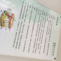 传世玉颜专业祛痘连锁机构(雁塔店)-传世玉颜专业祛痘·问题肌