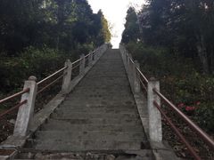 -江西阳明山国家森林公园