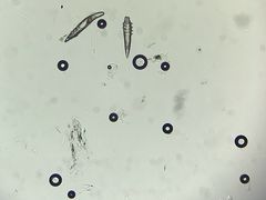 -宠颐生动物医院·心脏科·保险定点(锦阳分院)