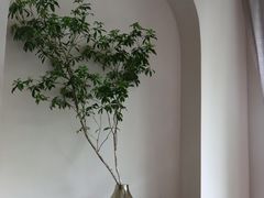 -菲乐餐厅(三十年经营·湖滨路店)
