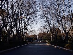-蠡湖中央公园