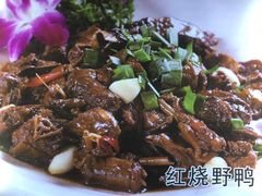 红烧野鸭-鸿运楼·舌尖上的徽菜