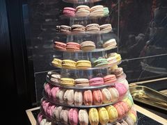 -雍容荟帝王蟹活龙虾展台自助(IFS黑金店)