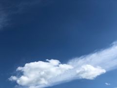 -棒棰岛宾馆景区