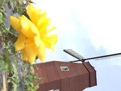 北纬44度·金珠花海景区-北纬44度·金珠花海休闲农业旅游景区