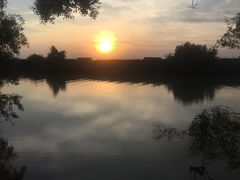-大湾区中央湿地公园
